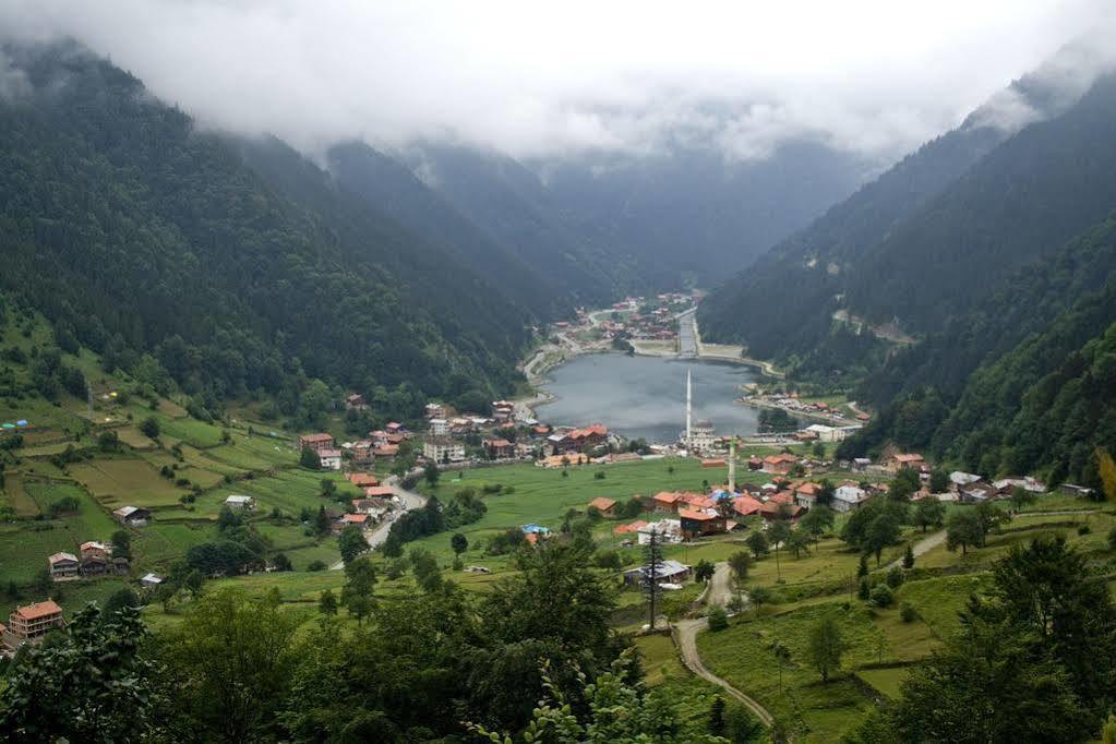 Kusva Apart Uzungol Exterior foto